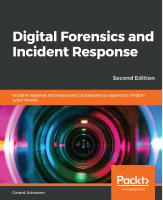 Digital_forensics_and_incident_response_incident_response_techniques.pdf